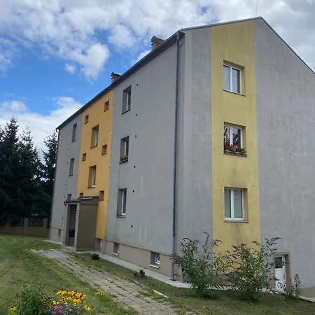 Tisa