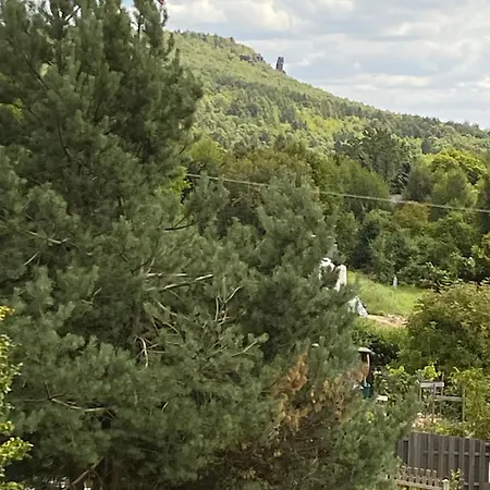 Tisa